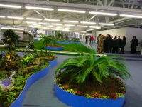 /album/repino2/picture-29-png/